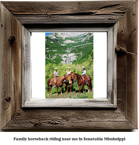 family horseback riding near me in Senatobia, Mississippi